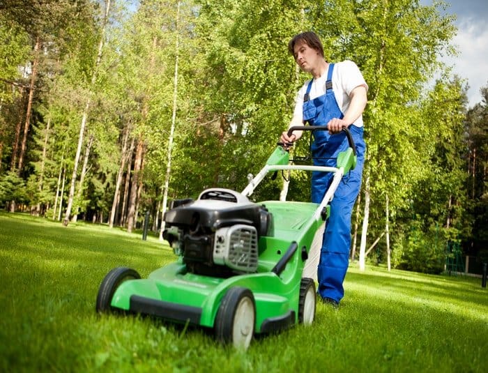 How To Start Lawn Care Business And, How To Start A Landscaping Business In Ontario