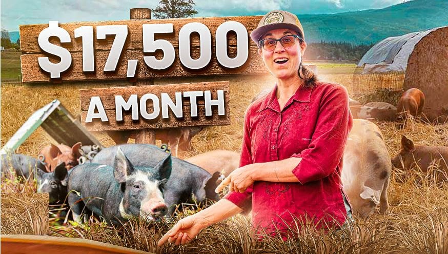 How to Start a $188K/Year Pig Farm Business (2024)