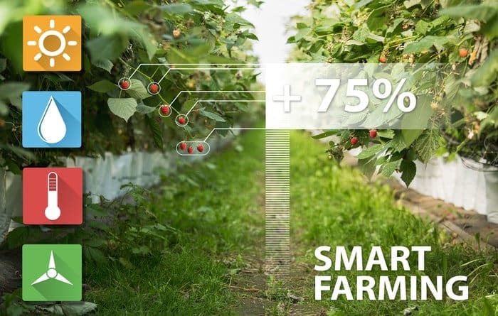 An image showing the measurement for orchard design