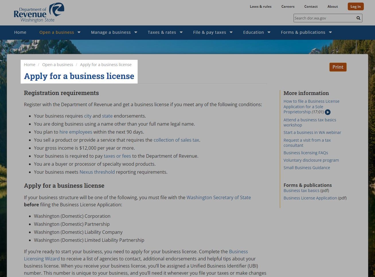 Screenshot of dor.wa.gov website
