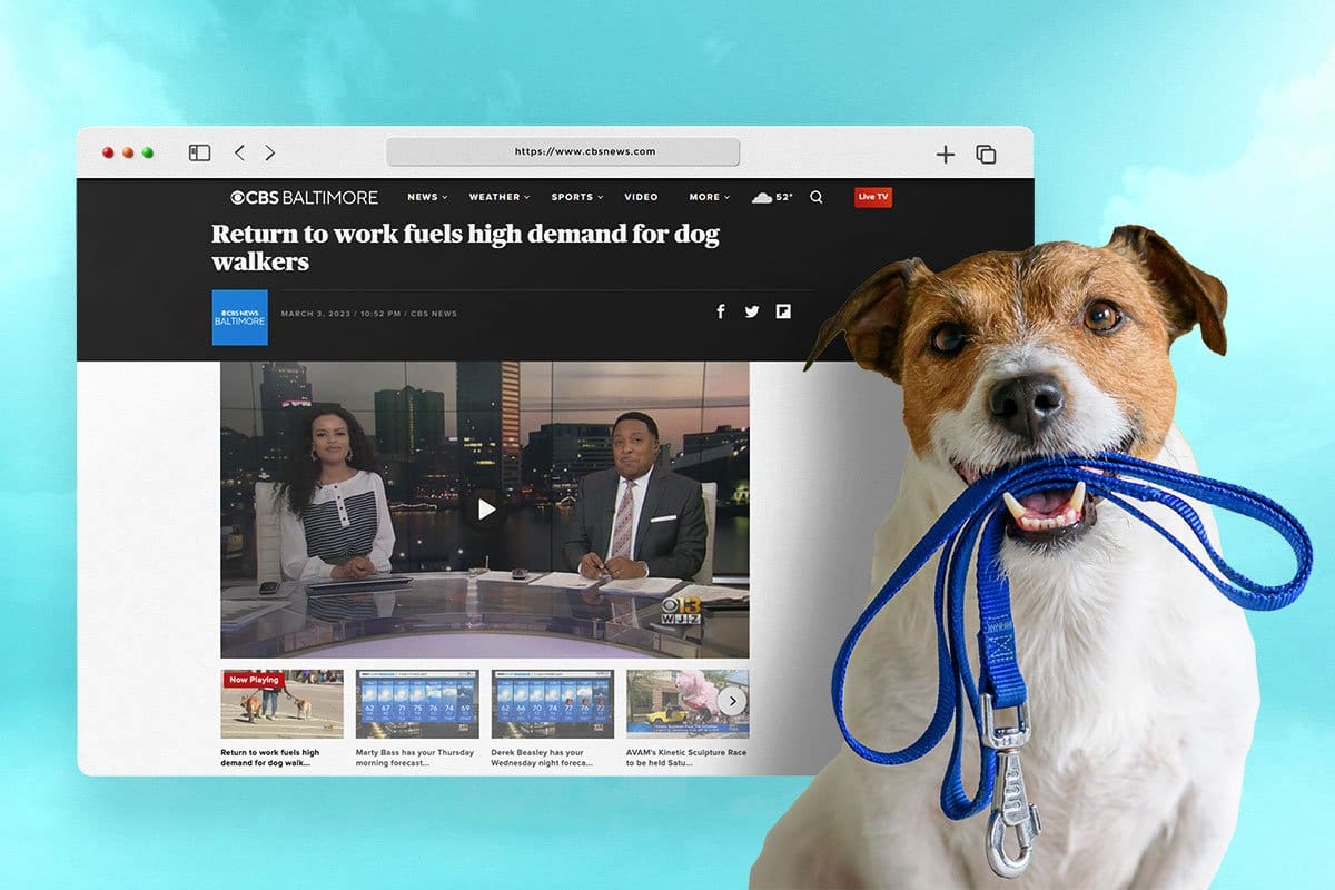 cute dog with a leash on its mouth with cbsnews website screenshot