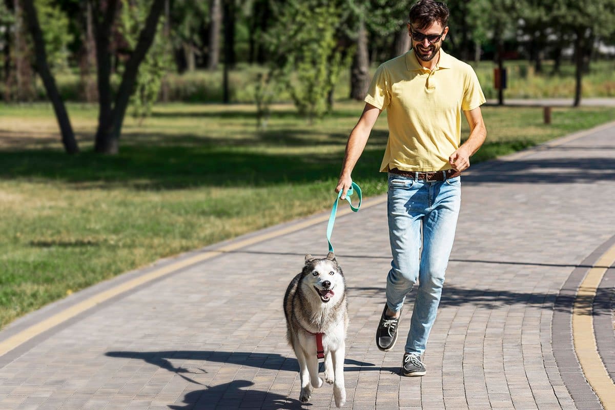 47 Best Side Hustle Ideas (for 2025) 13 Man walking husky