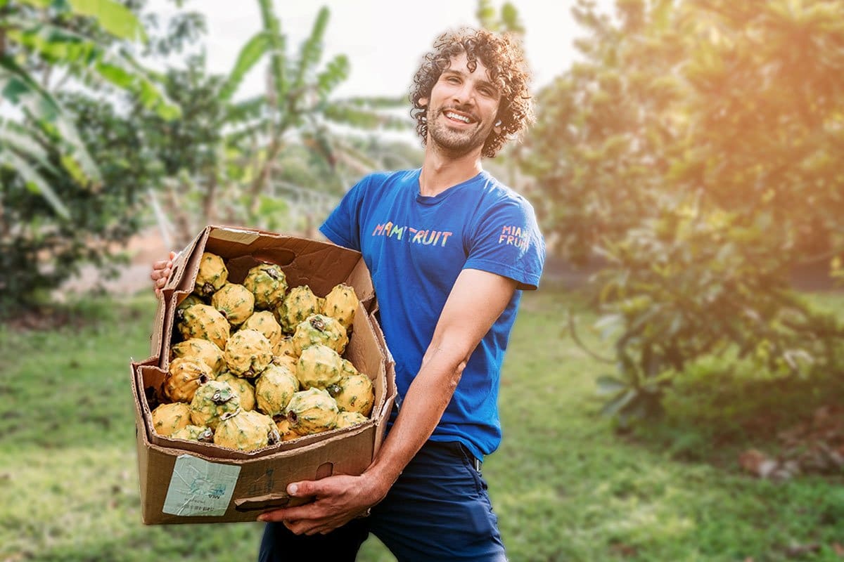 19 Best Businesses to Start in Florida 1 Miami fruit owner holding a huge box full of yellow dragon fruit