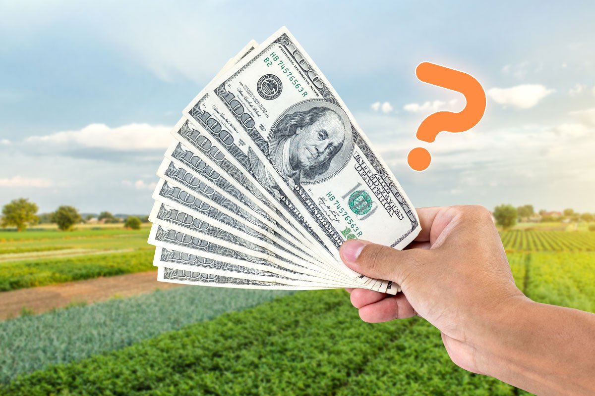 How to Start a Farm (and Make $120K/Month) in 2025 2 Hand holding a fan of $100 bills in front of a crop field with an orange question mark hovering over it
