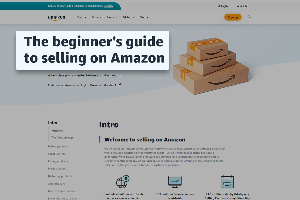 screenshot of beginners guide from amazon website
