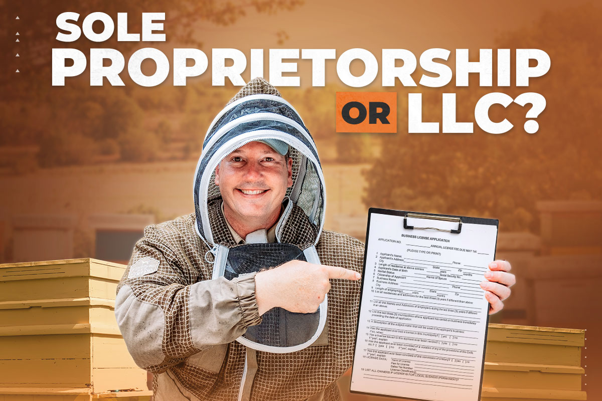 Sole Proprietorship vs. LLC – Which Should You Choose?