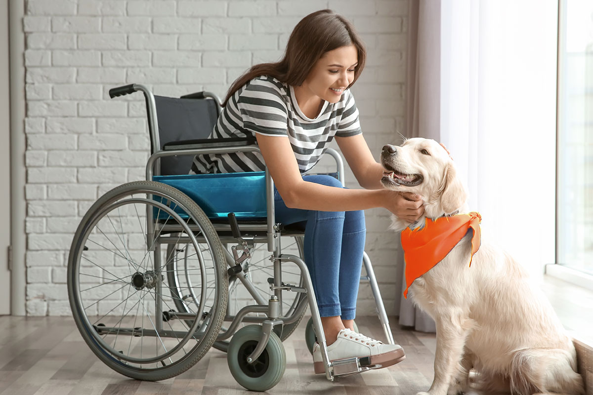 27 Profitable Pet Business Ideas for You to Start in 2025 9 A woman in a wheelchair petting a golden lab in an orange bandana