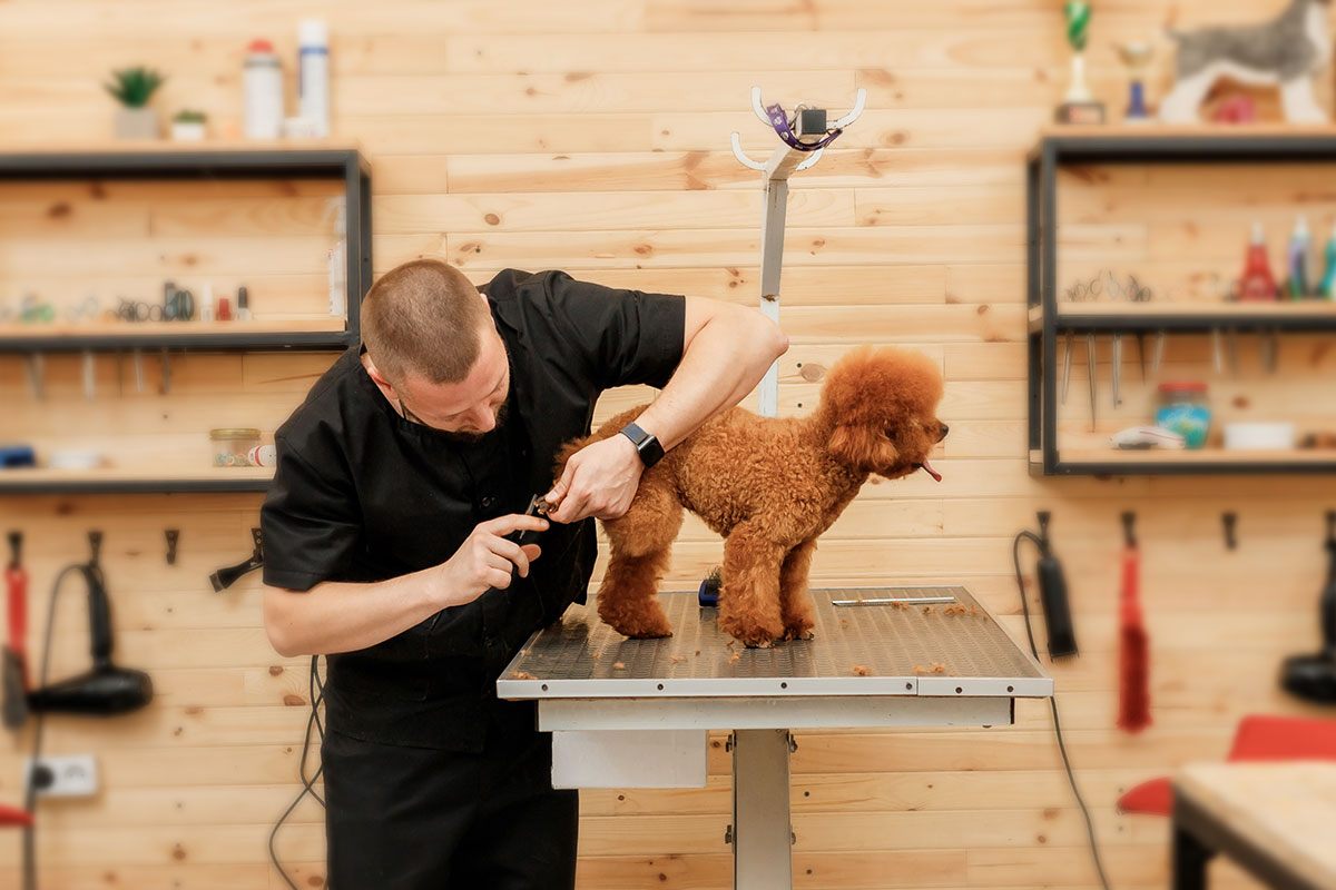 27 Profitable Pet Business Ideas for You to Start in 2025 4 A dog groomer trimming a dog's nails inside a grooming studio with pet products in the background
