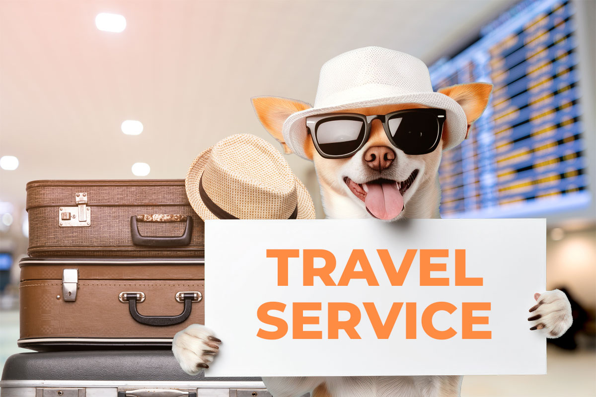 27 Profitable Pet Business Ideas for You to Start in 2025 8 A dog in a hat and sunglasses holding a sign that says "travel service" while standing next to luggage in an airport