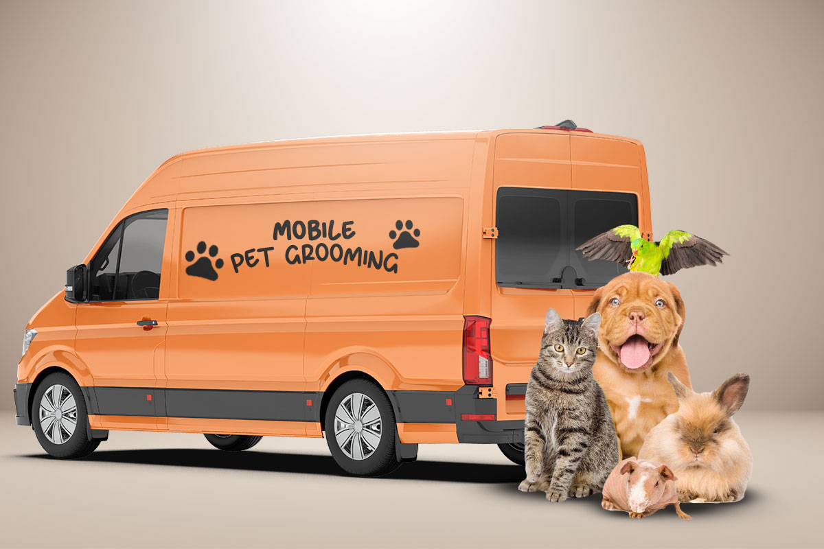 27 Profitable Pet Business Ideas for You to Start in 2025 15 A cat, a dog, a parrot, a rabbit, and a guinea pig posing next to an orange mobile pet grooming van