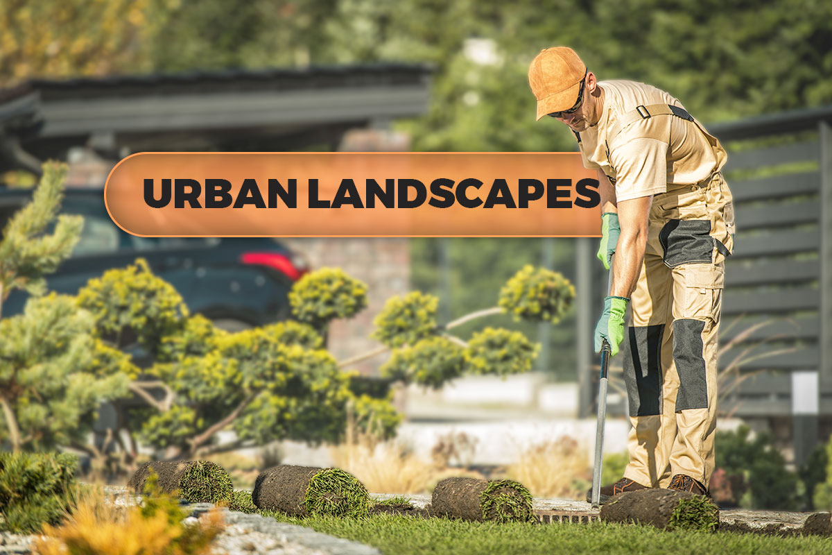 247 Eye-Catching Landscaping Business Names 4 A landscaper installing rolls of sod in a residential yard with a bubble nearby that says Urban Landscapes.
